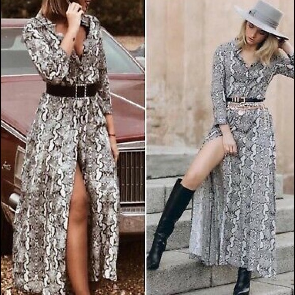 Zara Dresses & Skirts - Zara Sneak Print Maxi Premium Collection Dress XL